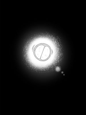 [舞影 (美影)]十年の恋より一週間の性|一周的性愛勝過十年的愛情 ~單行本+特典~[中国翻訳][疏碼][無邪気漢化組、不可視漢化]_219