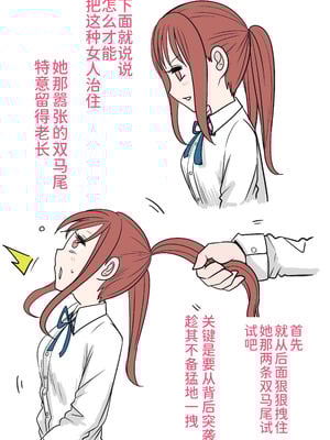 [りこぴんりこぴん] ツインテールの正しい使い方｜双马尾的正确使用方法 [中国翻訳]_03_awuf